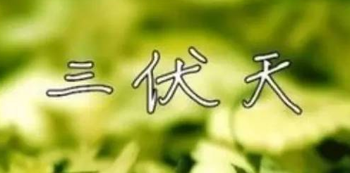三伏天饮食有哪些禁忌？微电脑治疗仪哪个牌子好？
