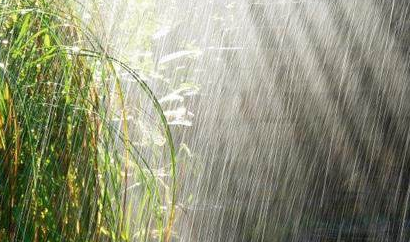 如何健康度过多雨季节？陕西千秋电子治疗仪