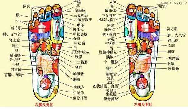 足部反射区疗法