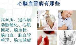 心脑血管的危害都有哪几种
