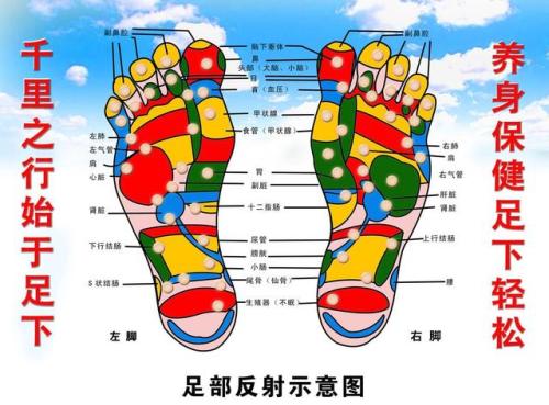 玄鹿中频微电脑治疗仪手足水针反射疗法