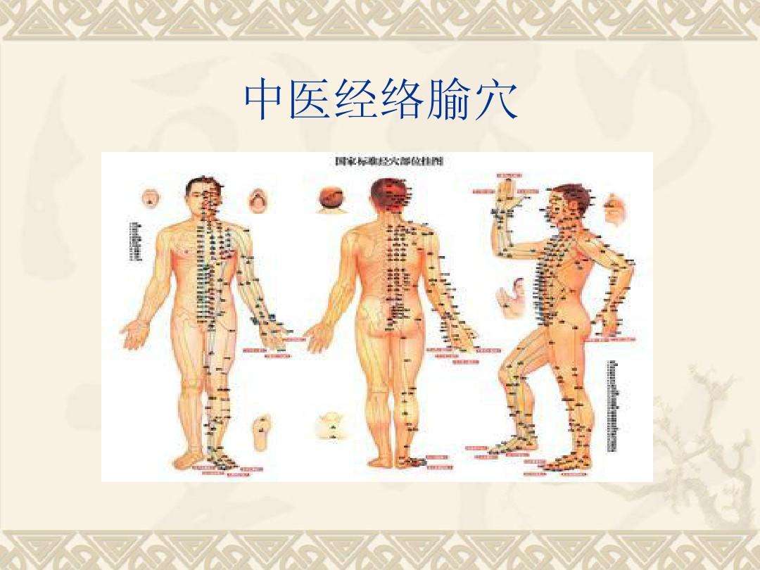 穴位经络就是中药的药房